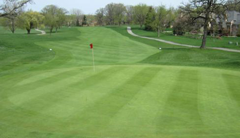 Full view of golf course fairway, with manicured greens, red flag over hole in foreground, and cart path lined with trees in distance